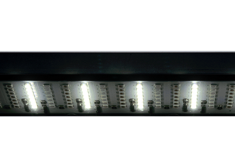 UNS Mini Refugium Light - Clip-On Lighting - Buce Plant