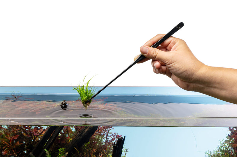 UNS Pro Aquascaping Tools - Black Straight Pinsettes Accessories - Buce Plant