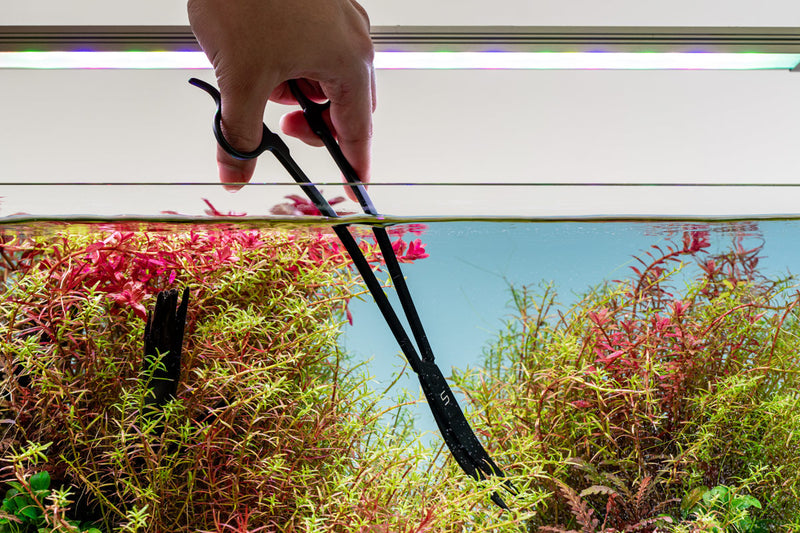 UNSTOOLS UNS Pro aquascaping tools black wave scissors for precise aquatic plant trimming and aquascaping accessories.
