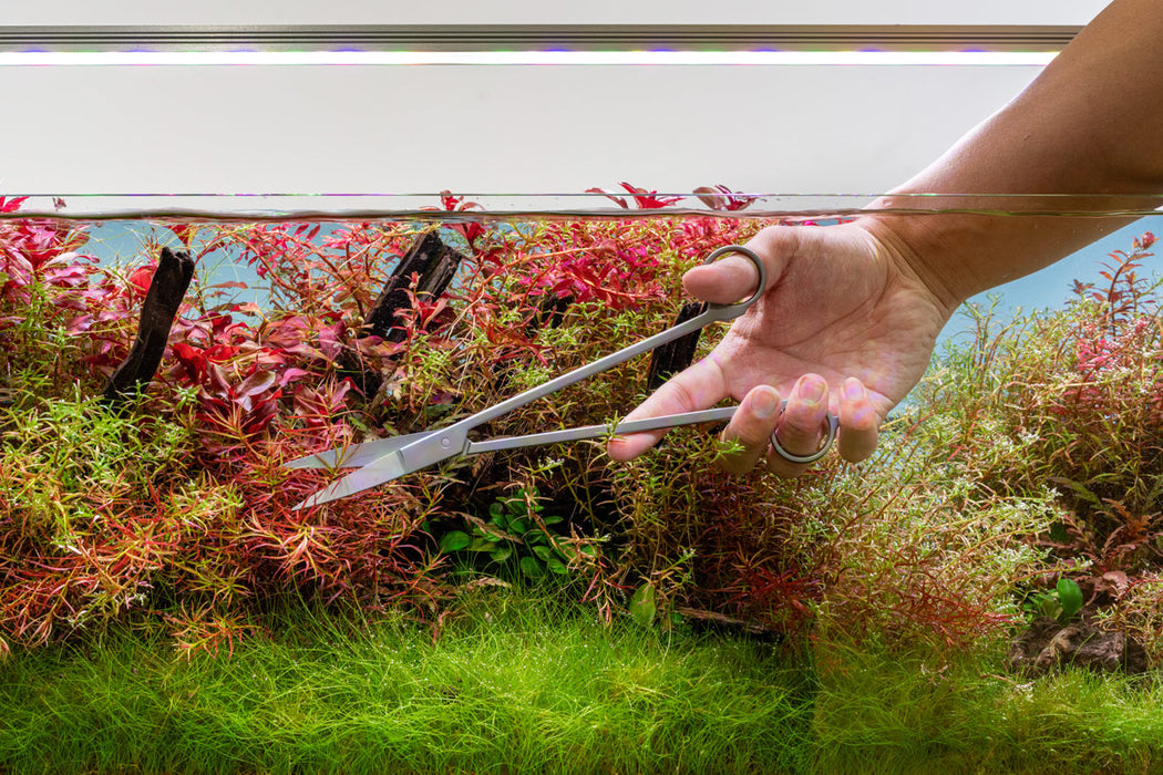 UNS Pro Aquascaping Tools - Grey Straight Scissors