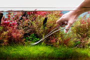 UNSTOOLS UNS Pro Aquascaping Grey Wave Scissors for precise plant trimming in aquatic setups