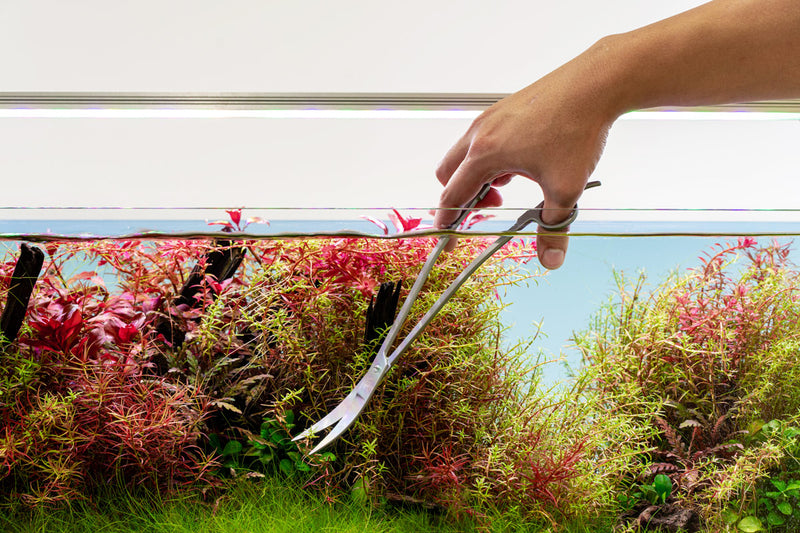 UNSTOOLS UNS Pro Aquascaping Tools Grey Wave Scissors for precise plant trimming in freshwater aquariums
