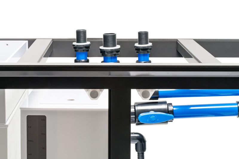 UNS Reef System - R120 Rimless Tanks - Buce Plant