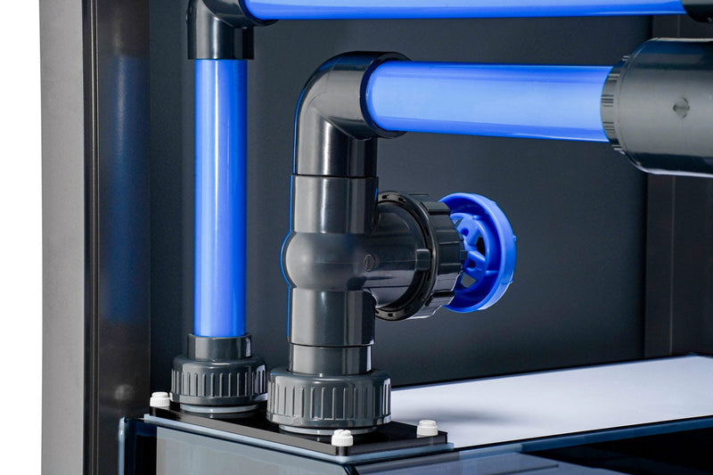 UNS Reef System - R120 Rimless Tanks - Buce Plant