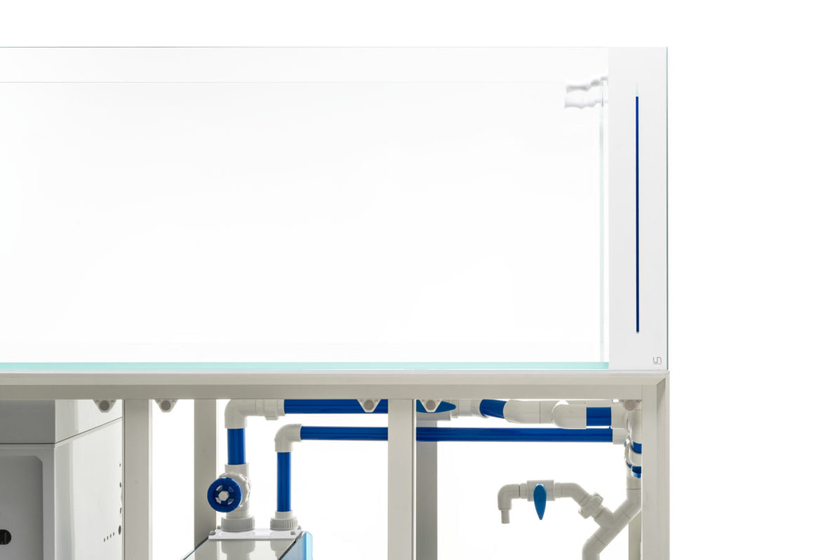 UNS Reef System - R150 Peninsula Limited Edition — Buce Plant