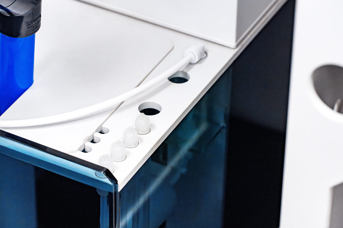 UNS Reef System - R150 — Buce Plant