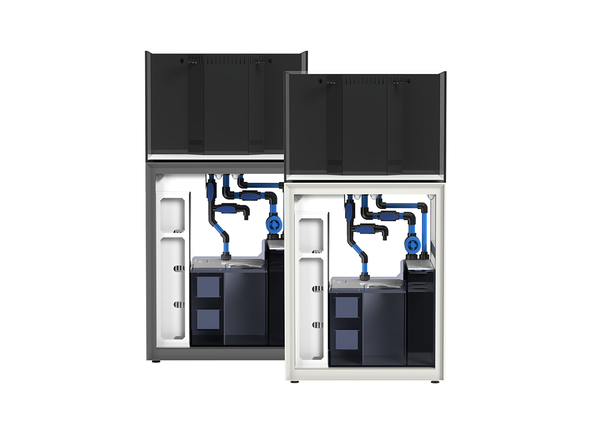 UNS Reef System - R75 — Buce Plant