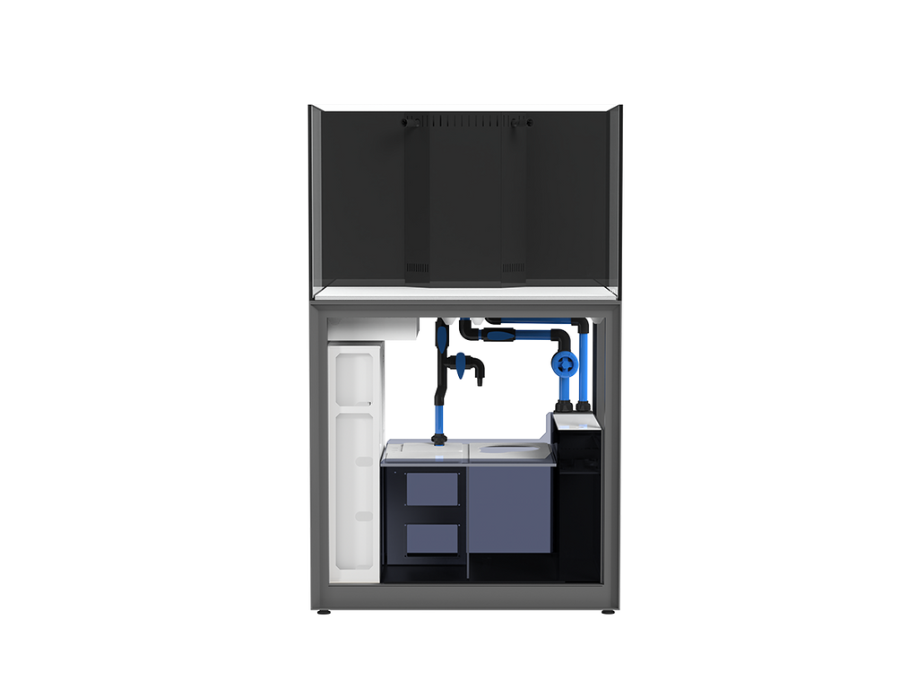 Reef Systems