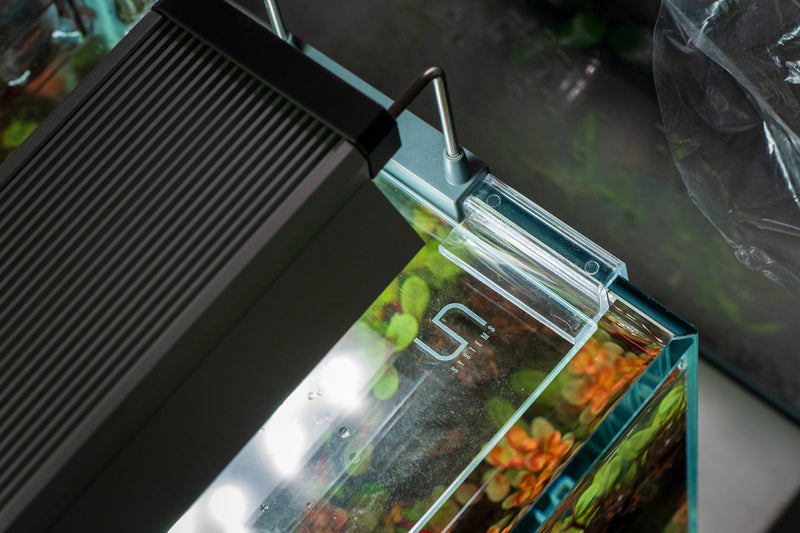 UNS Rimless Tank Glass Lids Glass Lids - Buce Plant