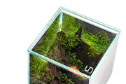 UNS Rimless Tank Glass Lids Glass Lids - Buce Plant