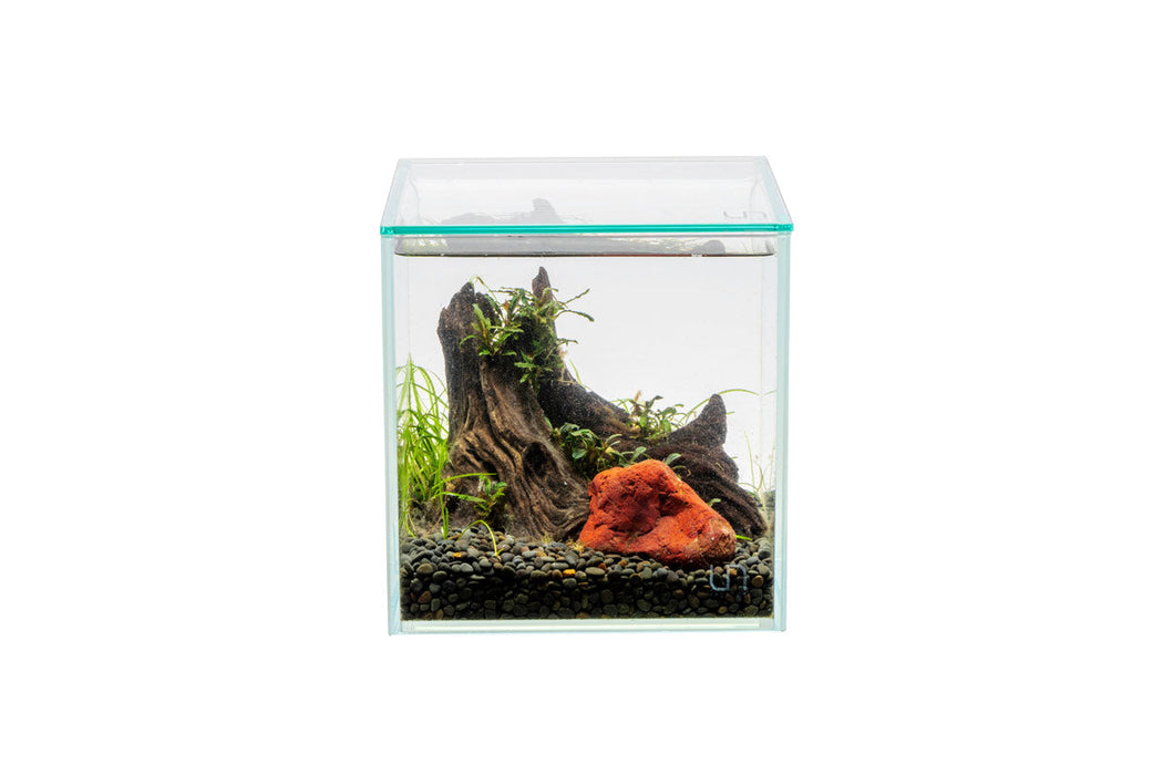 Curved Glass Aquarium Tank - 50 cm (50 x 28 x 30)