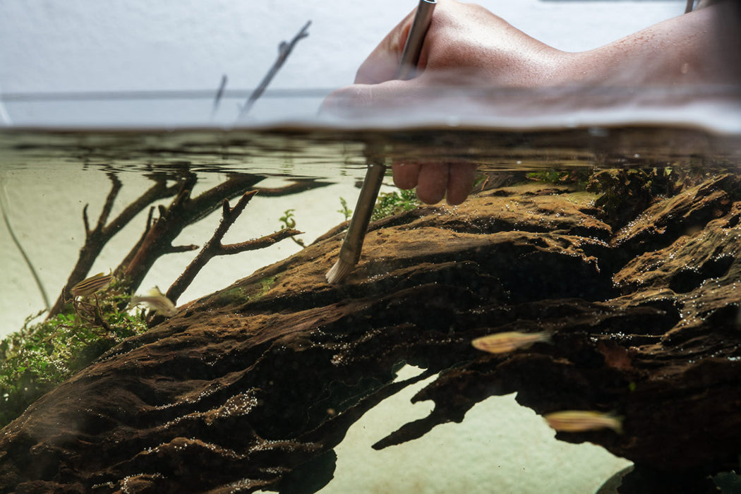 UNS Stainless Steel Algae Brush Set