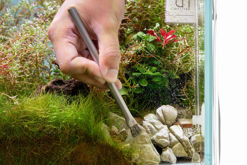 UNS Stainless Steel Algae Brush Set Accessories - Buce Plant