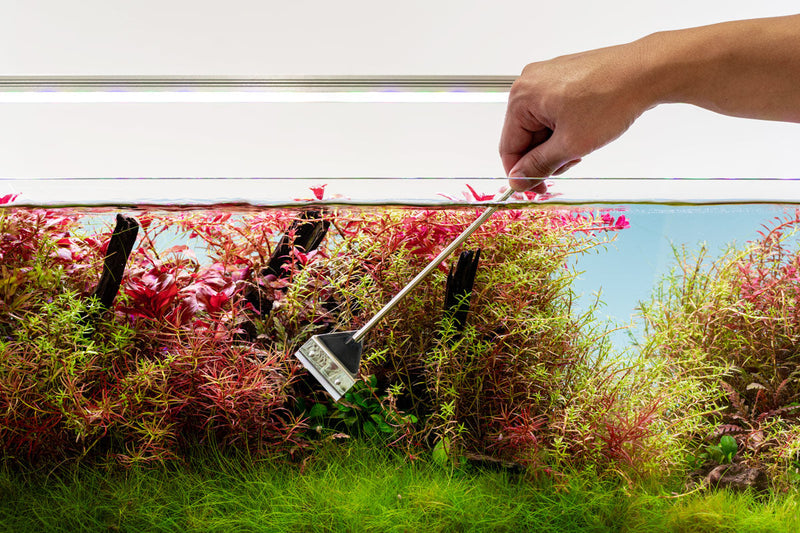 UNSTOOLS UNS Stainless Steel Algae Scraper accessory with a sturdy handle and blade for cleaning algae off surfaces.
