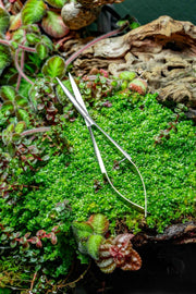UNS Stainless Steel Spring Scissors Accessories - Buce Plant