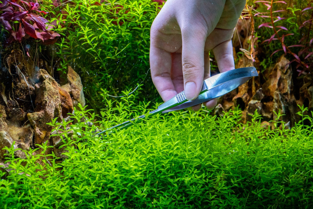 Aquarium Tools Set Scissor Tweezers Plants Wave Scissors Grass