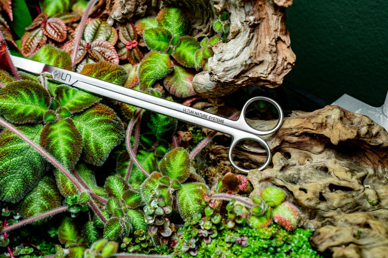 UNS Grey Straight Scissors Accessories - Buce Plant