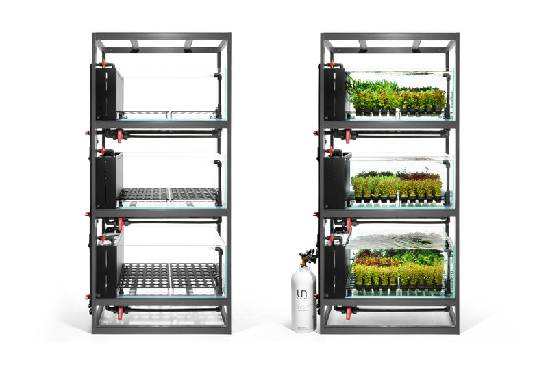 Buce Plant UNS Stem Plant Holding System 90 Triple Decker holding multiple aquatic plants in a clear plastic structure