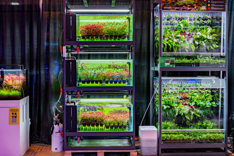 Buce Plant UNS Stem Plant Holding System 90 Triple Decker for secure aquatic plant display and organization.