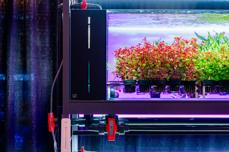 Buce Plant UNS Stem Plant Holding System 90, triple decker, designed for supporting and organizing aquatic plants in aquariums.