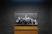 UNS Shardscape Black Mountain Seiryu Stone Type 3 E, natural textured stone for landscaping or decorative use.