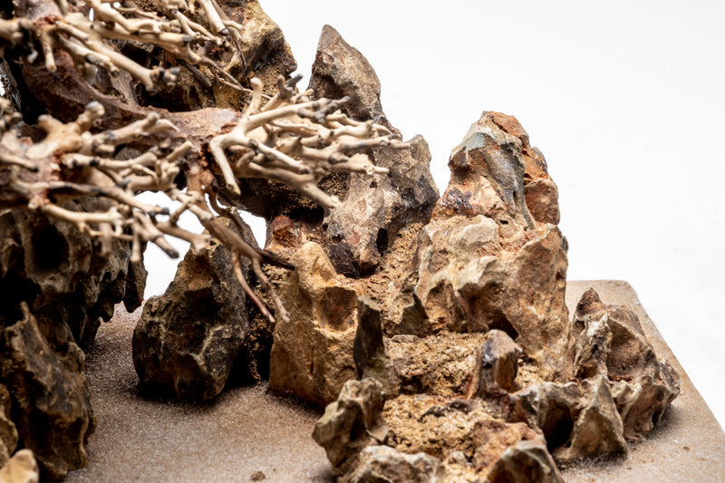 UNS Shardscape UNS Strata Pro Type 17 driftwood sculpture with textured, natural wood finish on a neutral background