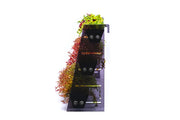 UNS Terrace Stem Plant Wall Accessories - Buce Plant