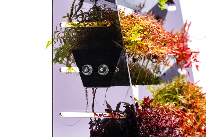 UNS Terrace Stem Plant Wall Accessories - Buce Plant
