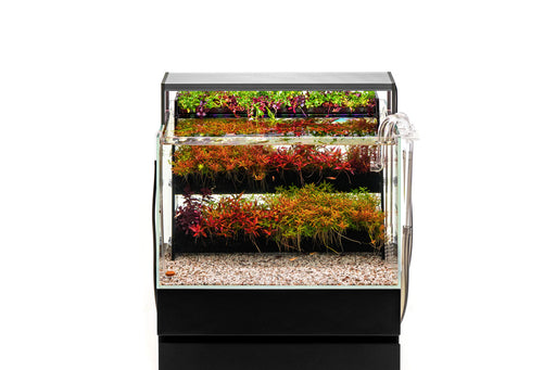 UNS Terrace Stem Plant Wall