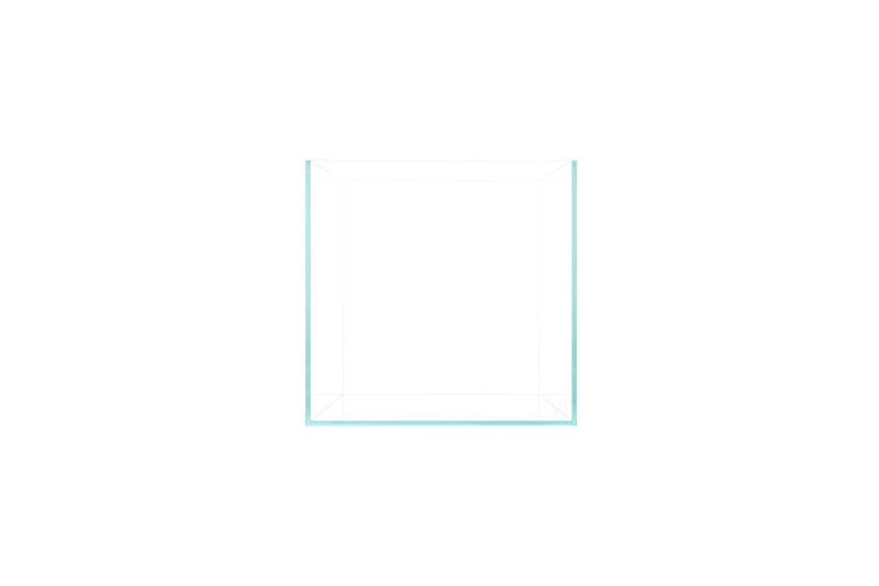UNS Ultra Clear Tanks Rimless Tanks - Buce Plant