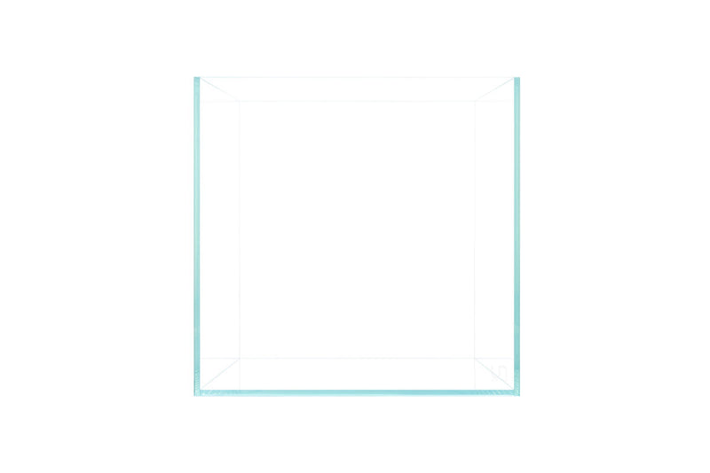 UNS Ultra Clear Tanks Rimless Tanks - Buce Plant