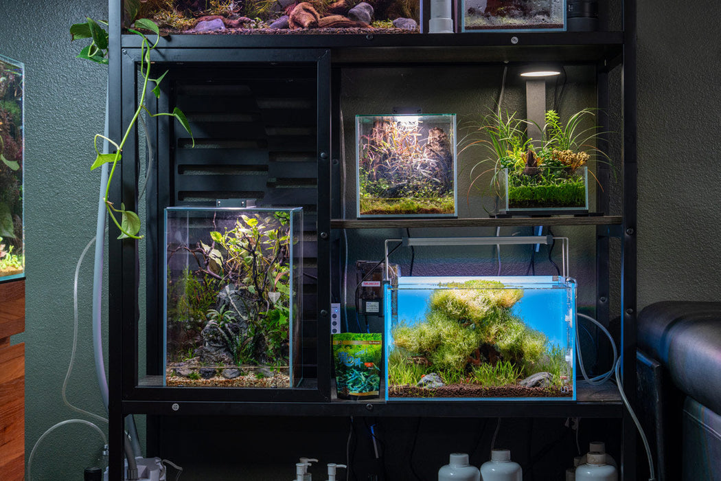 UNS Ultra Clear Tanks