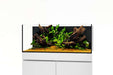Clear Ultum Nature Systems UNS Ultra Clear All-In-One Dual AIO tank for aquatic habitats, with transparent walls and sturdy construction.