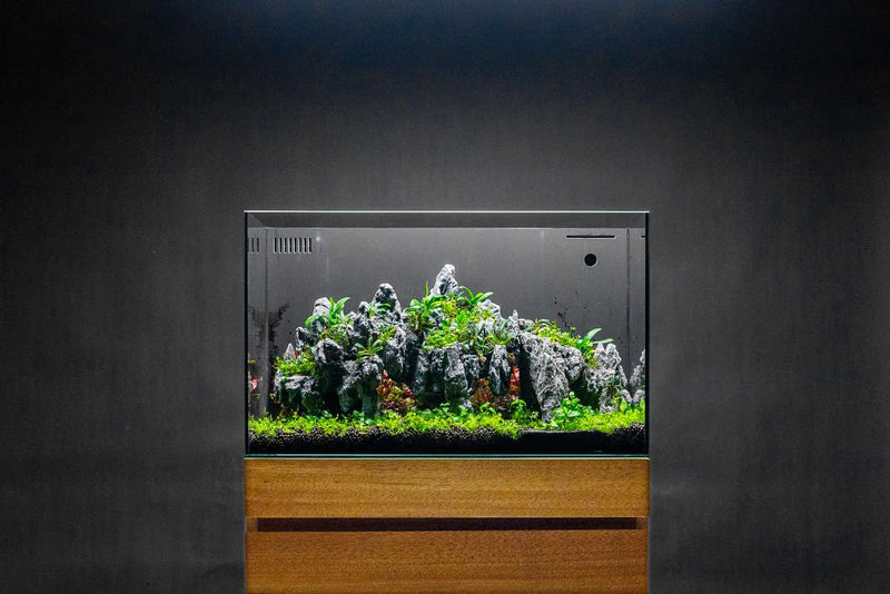 UNS Ultra Clear Tanks [DUAL AIO] All-In-One Tanks - Buce Plant