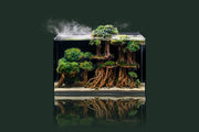 UNS Ultra Clear Tanks [DUAL AIO] All-In-One Tanks - Buce Plant