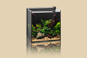 UNS Ultra Clear Tanks [DUAL AIO] All-In-One Tanks - Buce Plant