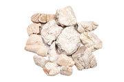 White Elephant Skin Stone Stone - Buce Plant