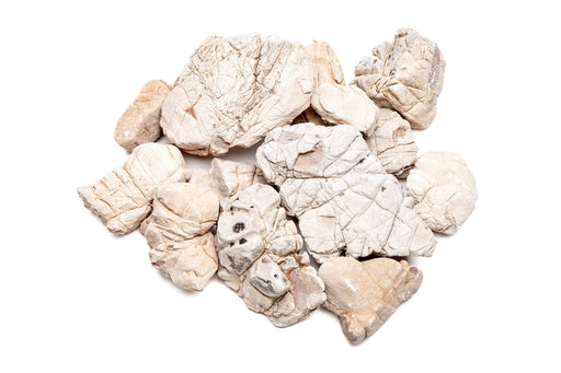 White Elephant Skin Stone