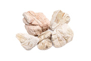 White Elephant Skin Stone Stone - Buce Plant