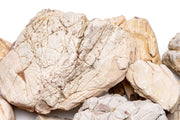 White Elephant Skin Stone Stone - Buce Plant