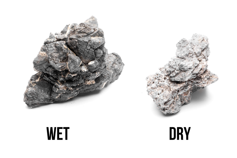 Wolf Stone Stone - Buce Plant