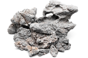 Wolf Stone Stone - Buce Plant