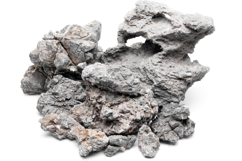 Wolf Stone Stone - Buce Plant