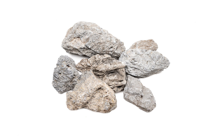 Wolf Stone Stone - Buce Plant