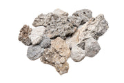 Wolf Stone Stone - Buce Plant