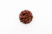 Alternanthera Rosaefolia Aquatic Farmer Tissue Culture Aquatic Plant - Buce Plant