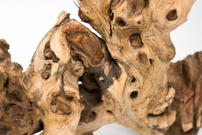 Amazon Wood Driftwood - Buce Plant