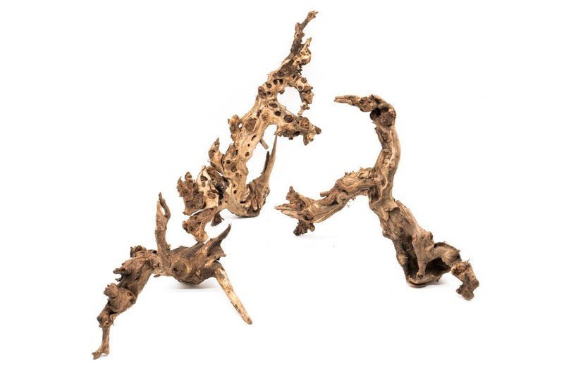 Amazon Wood Driftwood - Buce Plant