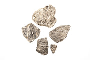 Ancient petrified stone from UNSHARDSCAPE, showcasing a textured, weathered mineral with rich earthy tones and unique fossil patterns.