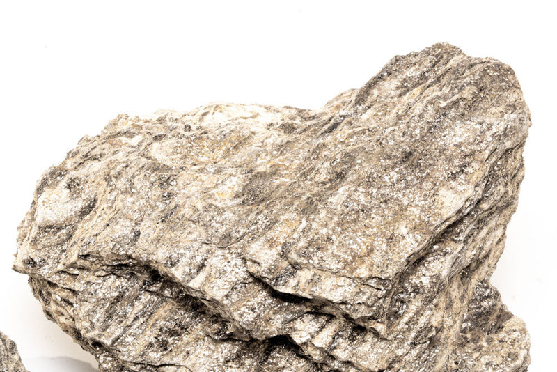 Ancient petrified stone from UNSHARDSCAPE showing textured, weathered surface with earthy tones and intricate stone patterns.